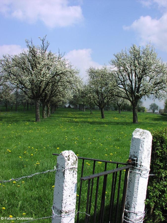 O Macra B&B - Aubel, Pays De Herve Exteriér fotografie